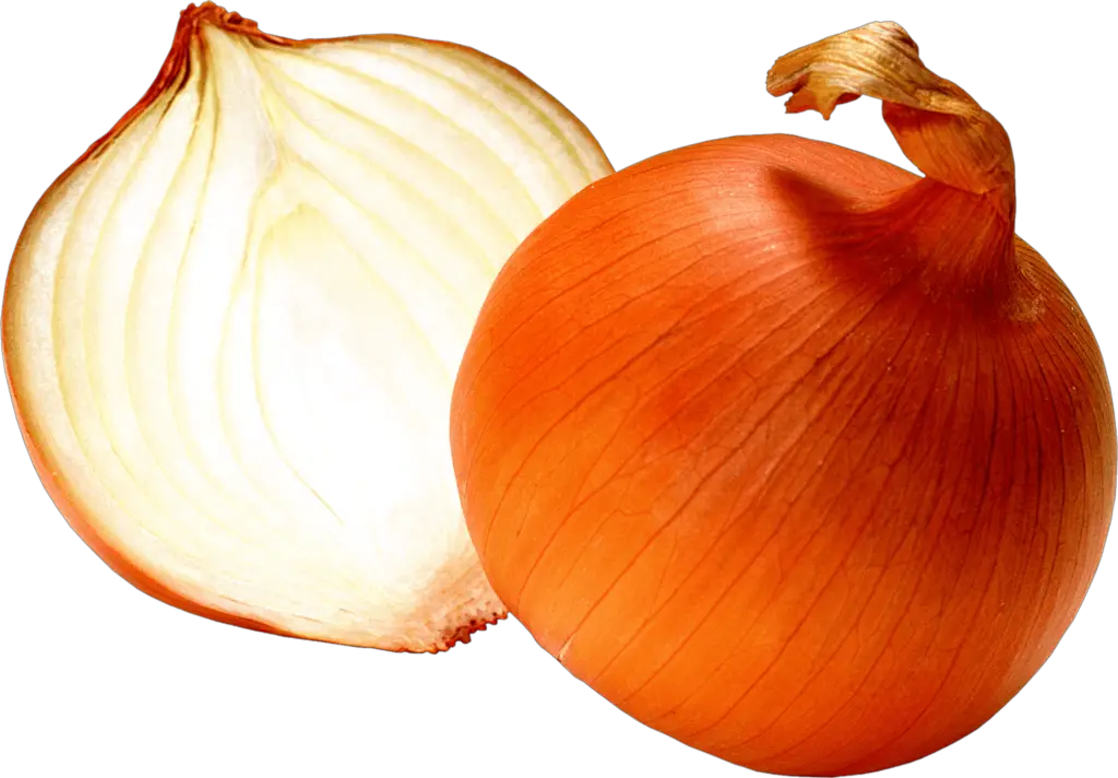 Yellow Onion png