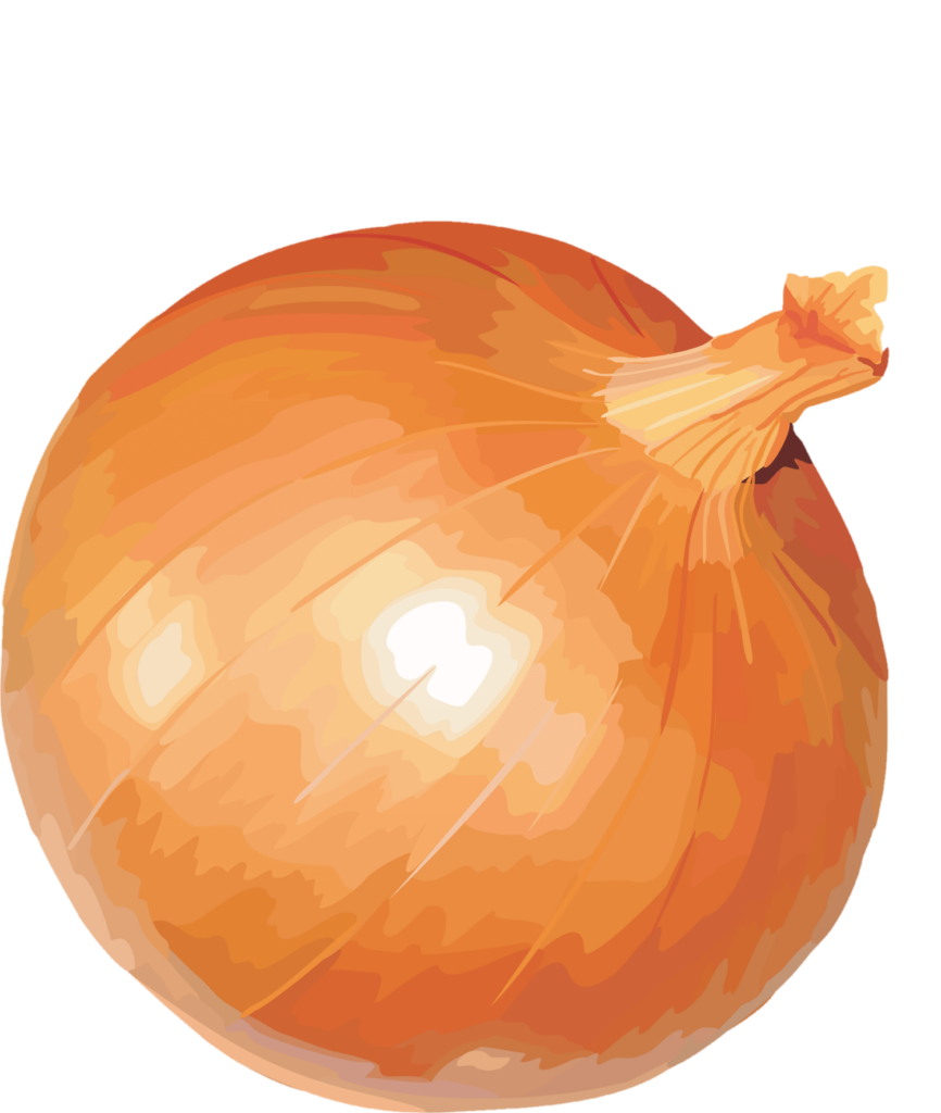 Yellow Onion png clip art