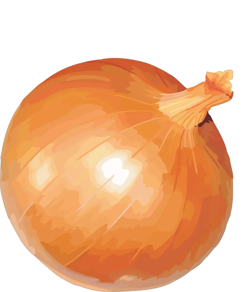 clipart yellow onion