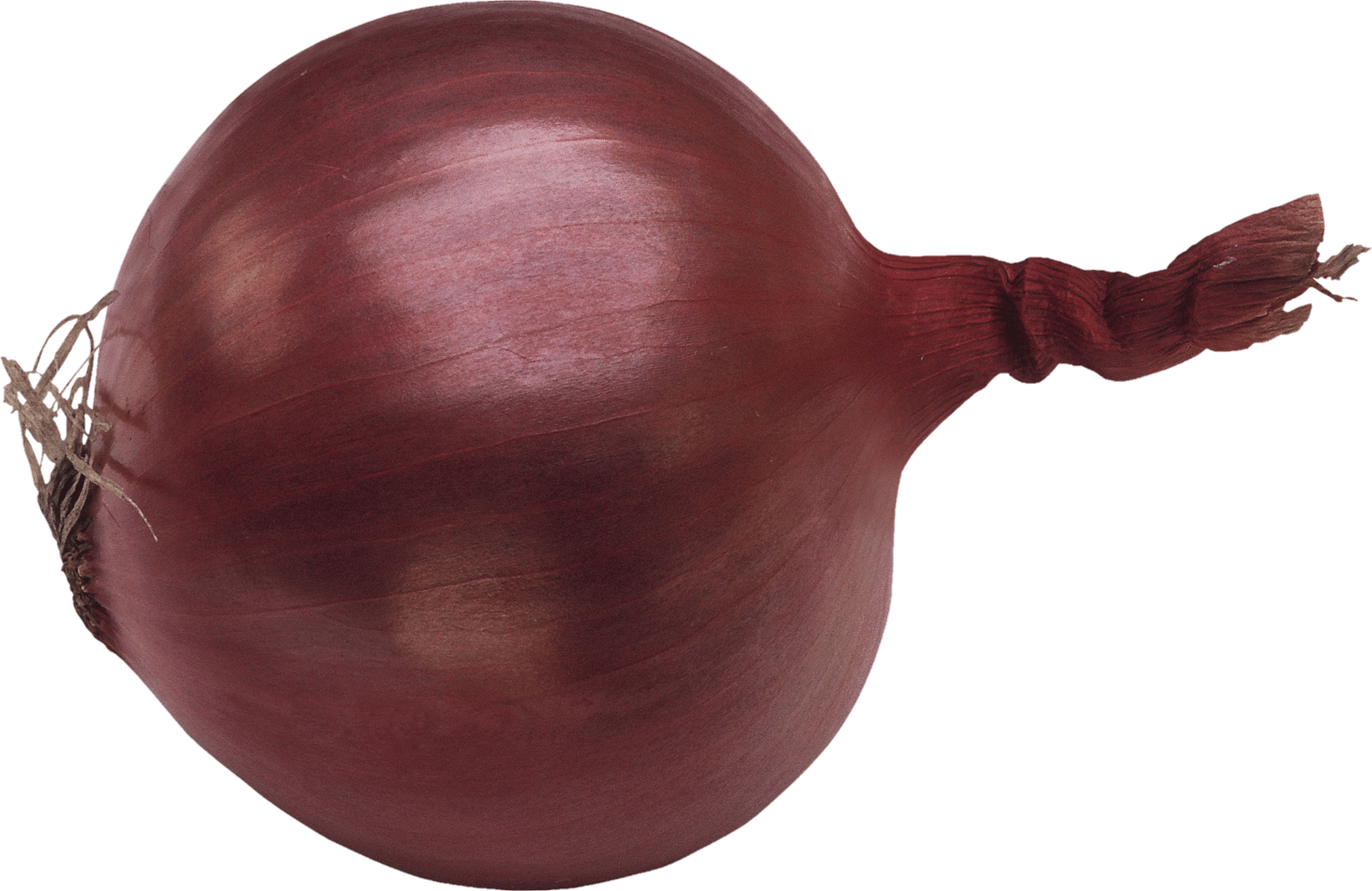 Onion-9