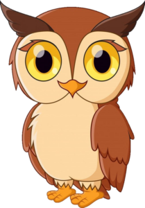 Owl-1