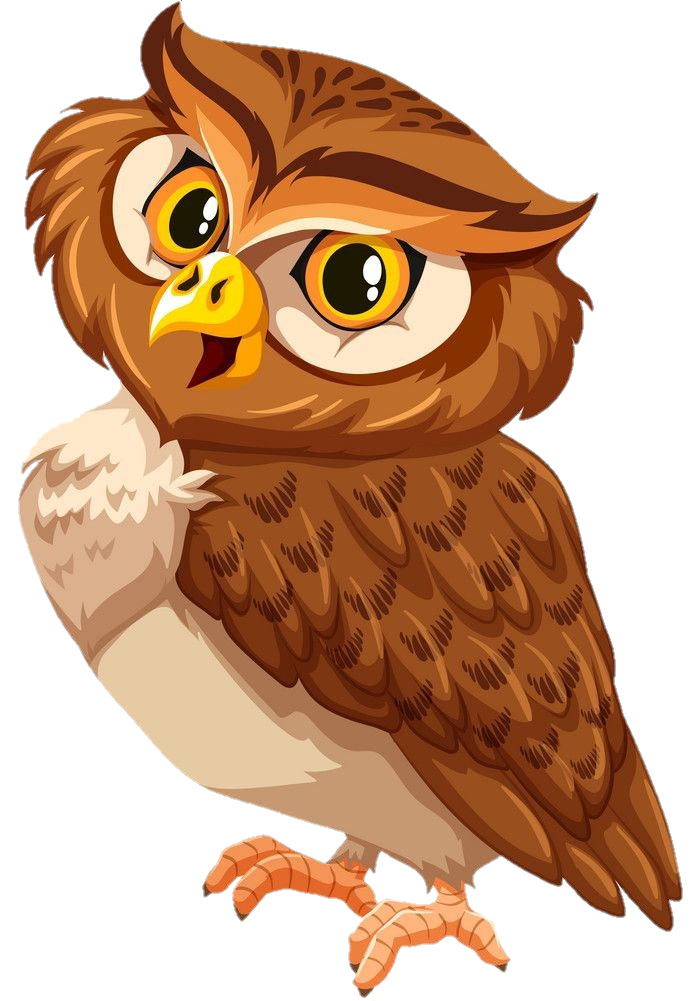 Owl-11
