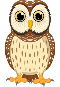 Owl-16