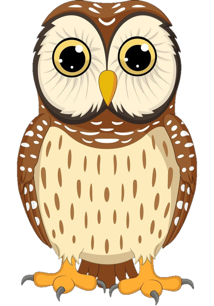 Animated Owl Png