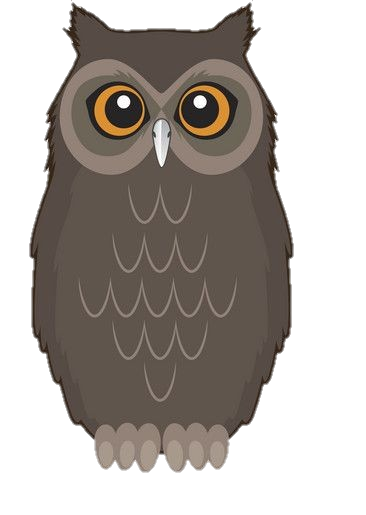 Owl Vector Png
