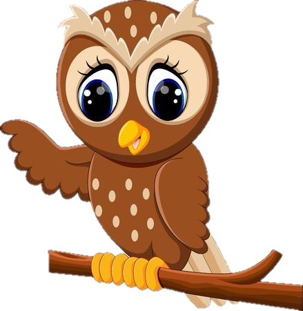 Cute Owl Clipart Png