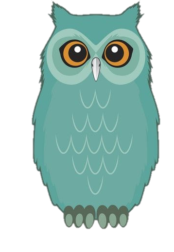 Owl Vector png 