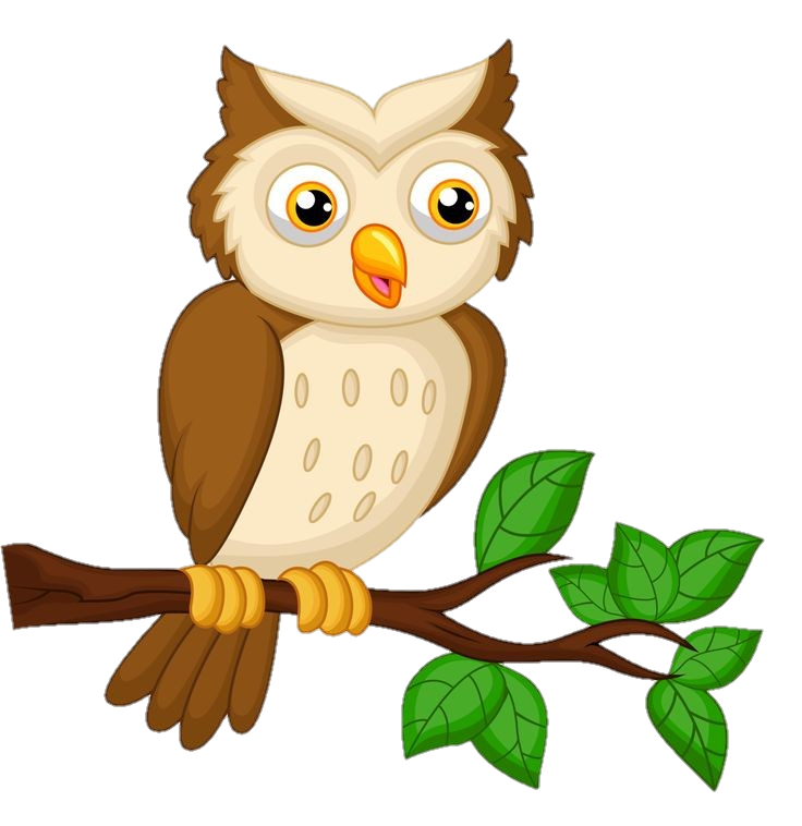 Owl Clipart Png