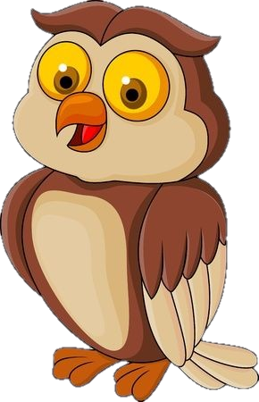 Cartoon Owl Png