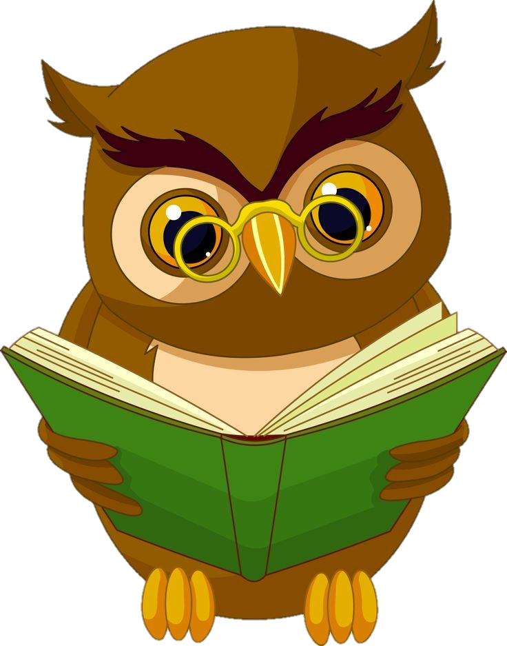 Teacher Owl Png