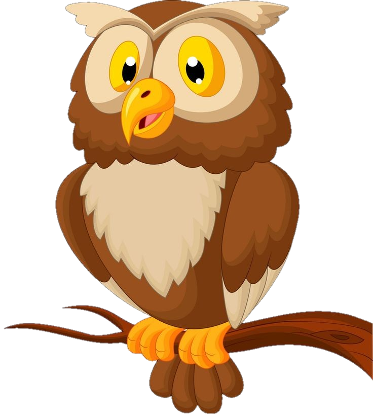 Animated Owl Png