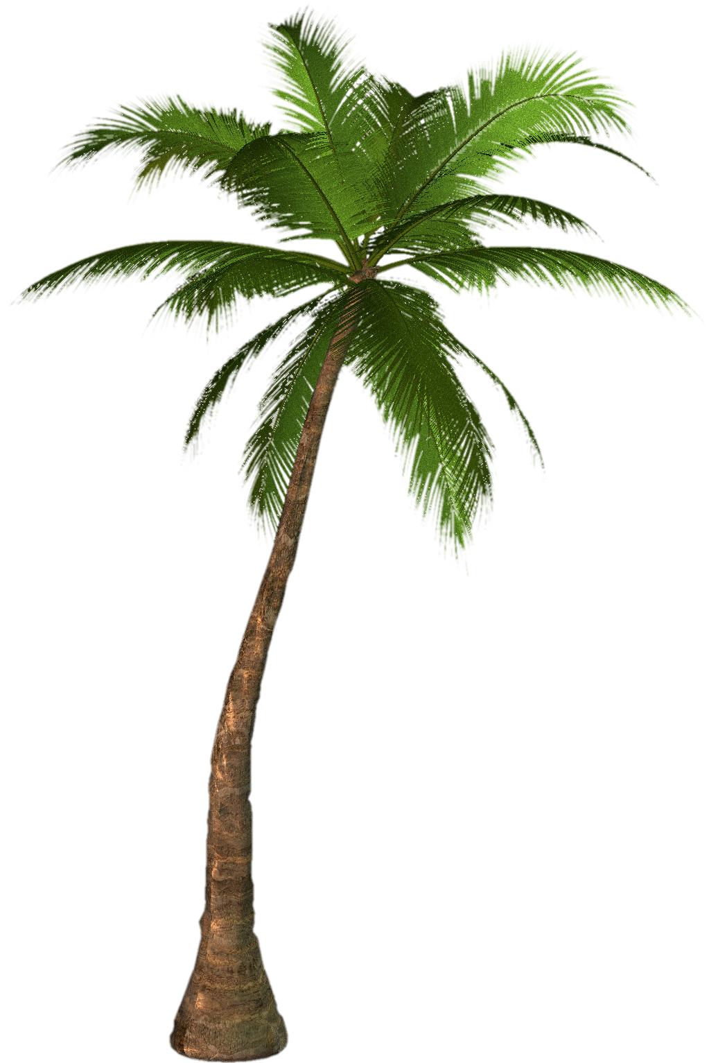 Palm-Tree-1
