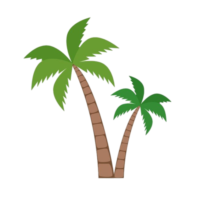 Palm Tree Vector Png