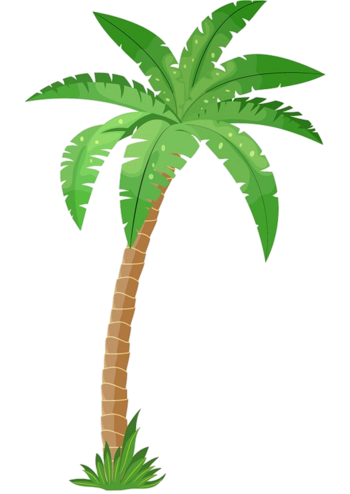Palm-Tree-13