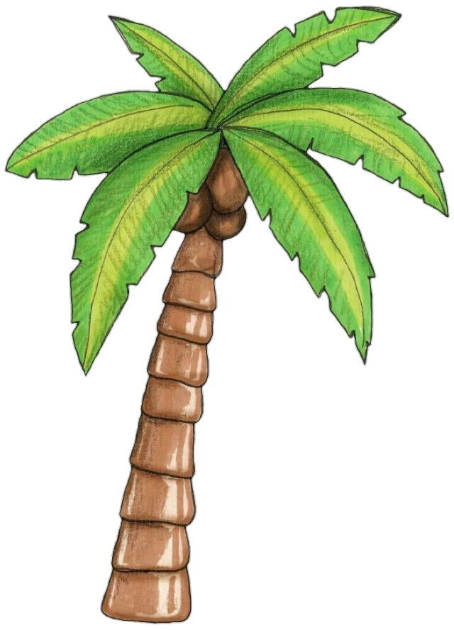 Palm Tree Art Png