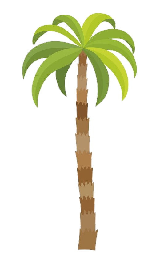 Tropical Palm Tree Vector Png