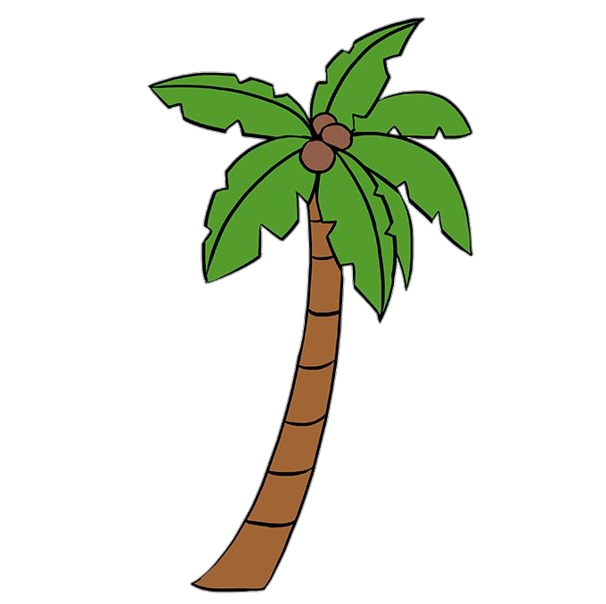 Palm-Tree-18