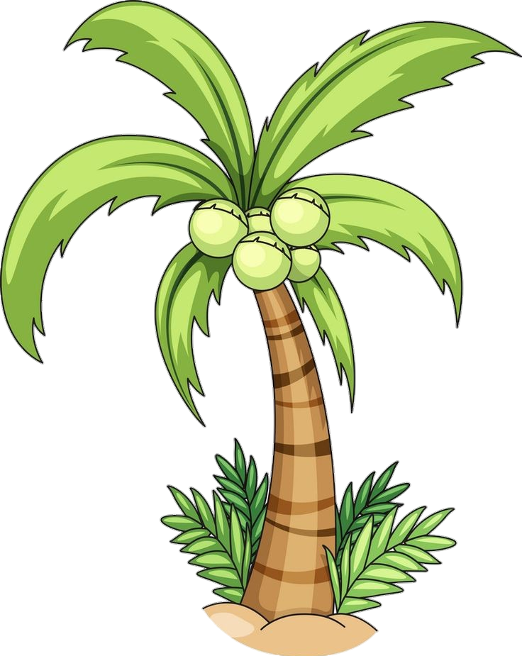 Palm Tree clipart Png