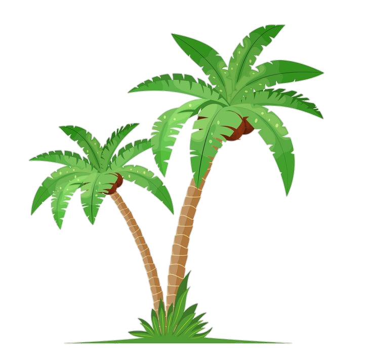 Palm-Tree-21