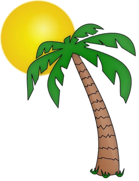 Palm-Tree-22