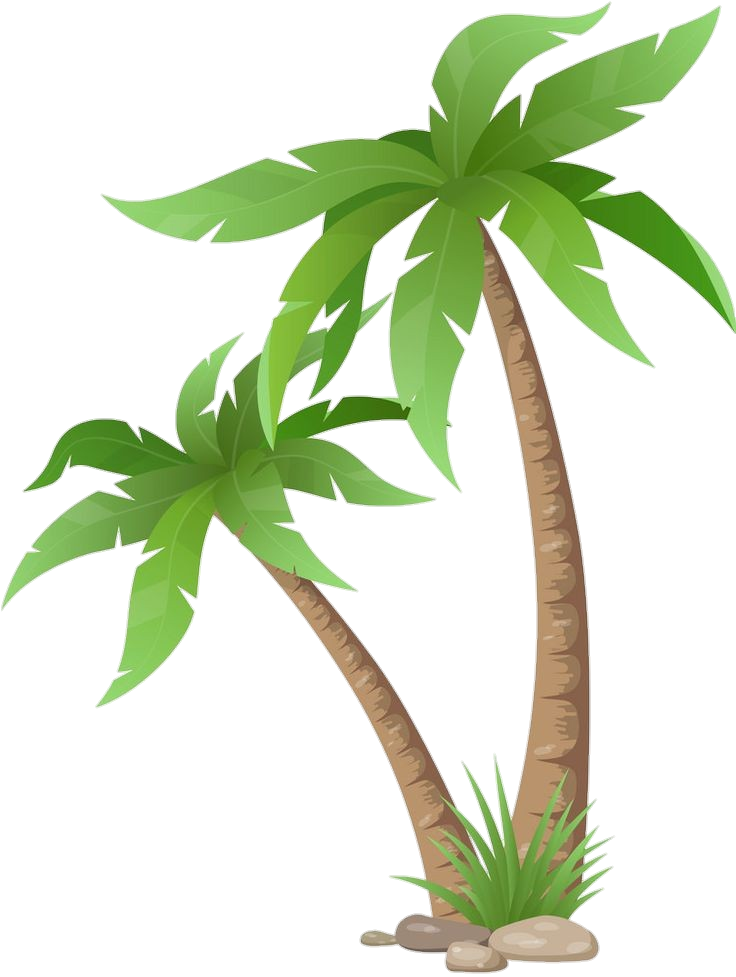 Palm-Tree-25