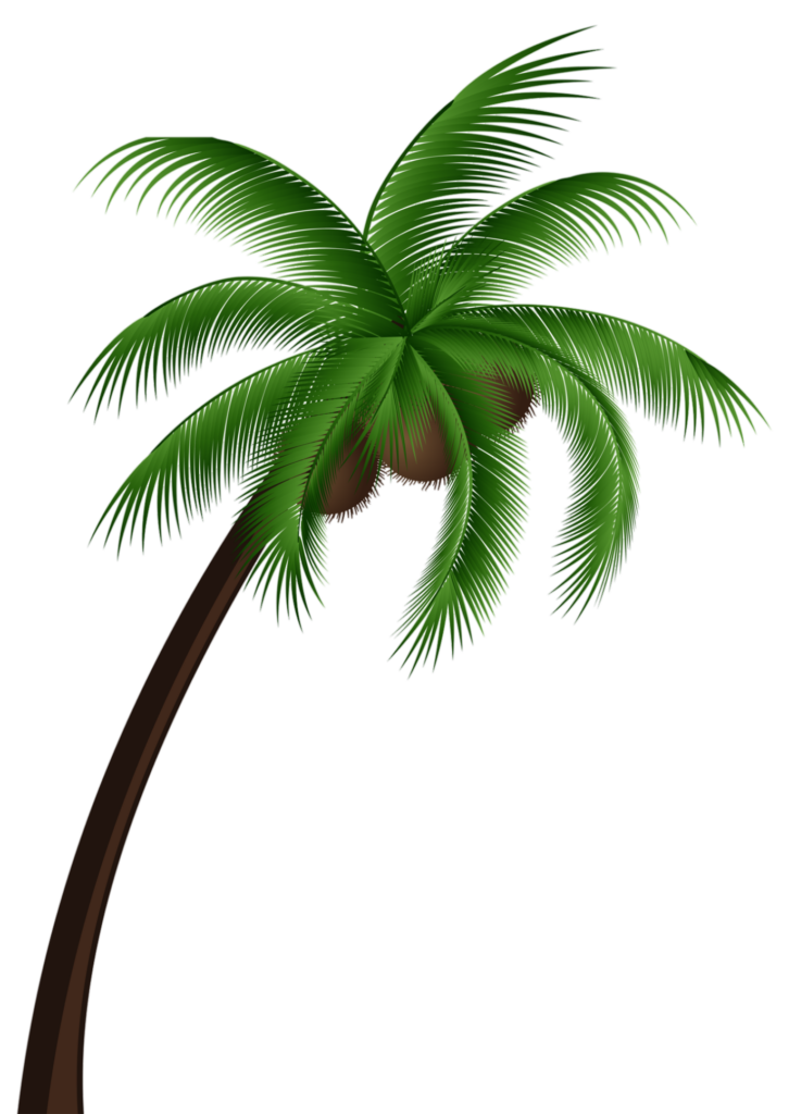 animated palm tree