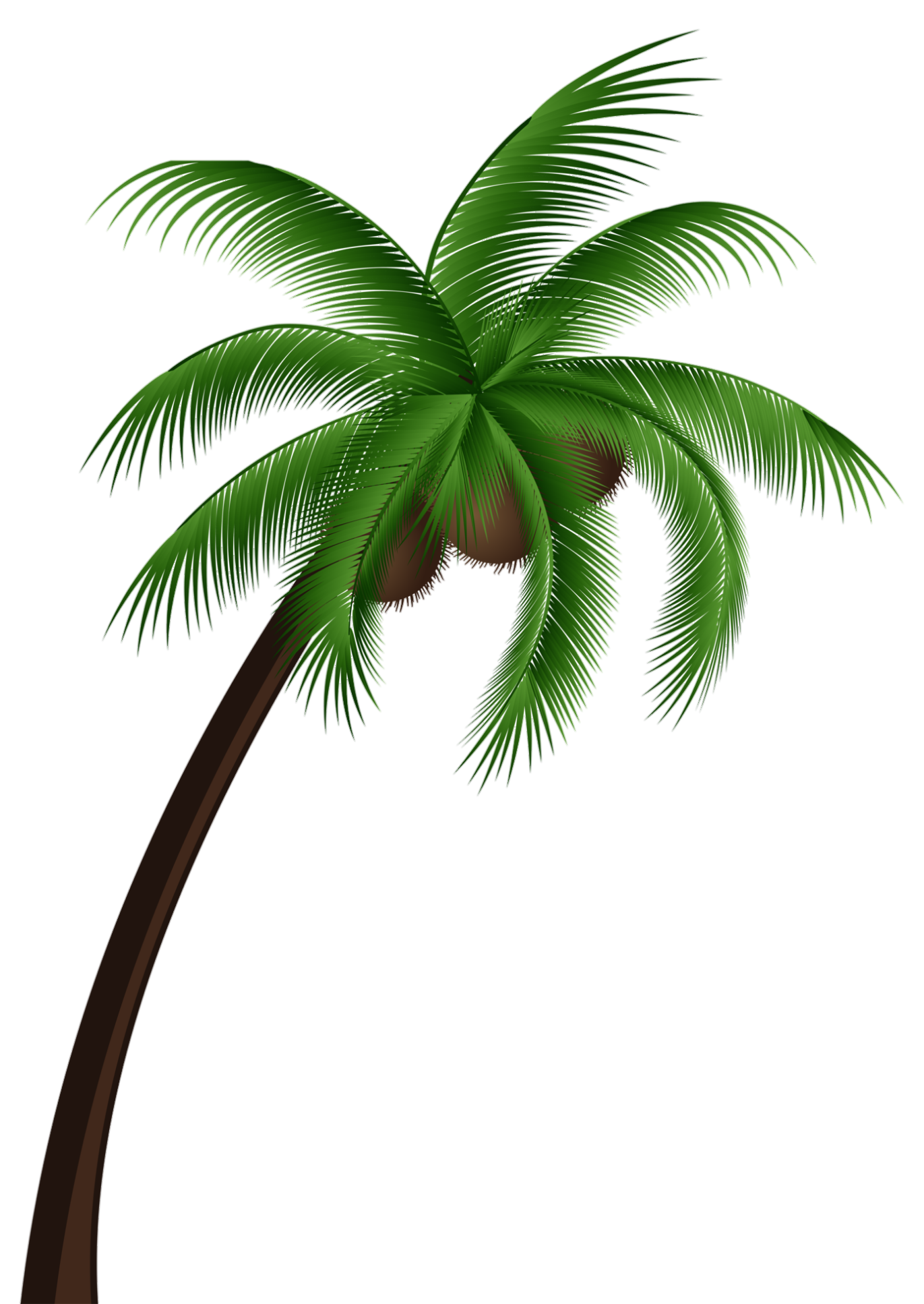 Palm-Tree-3