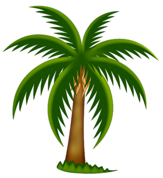 Palm-Tree-5
