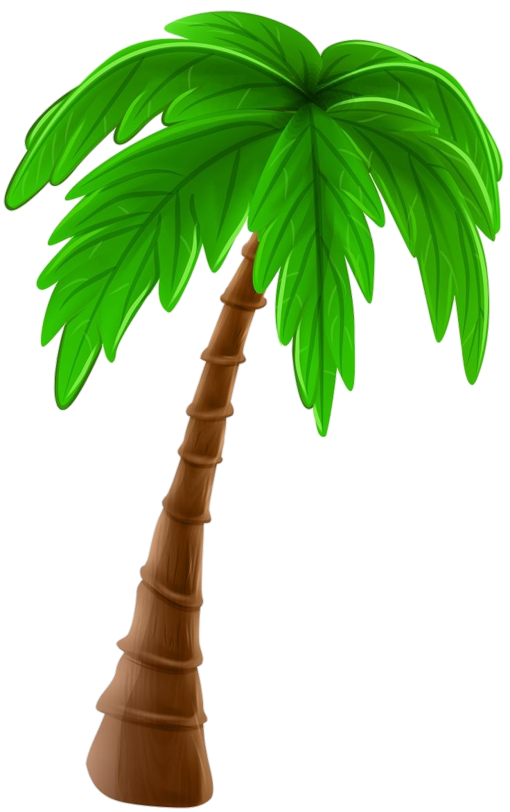 Palm-Tree-6