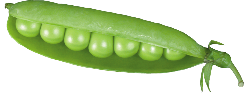 High Resolution Pea Png