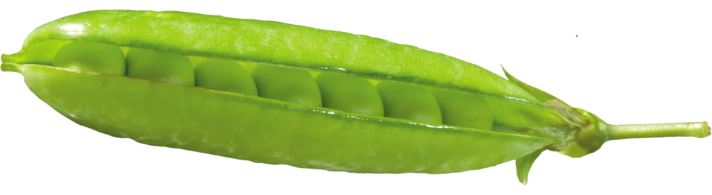 Green Pea Png