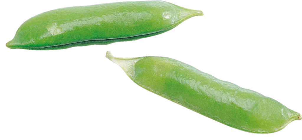 Pea Vegetable Png
