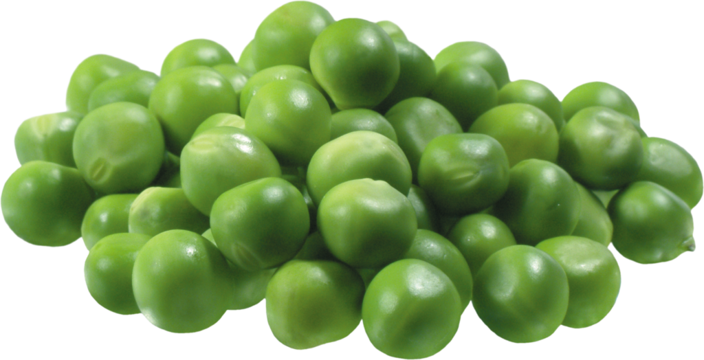 Round Pea Png