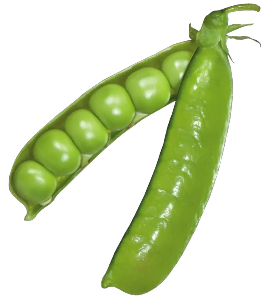 Transparent Pea png 