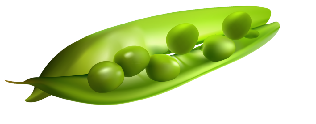 Pea Icon png