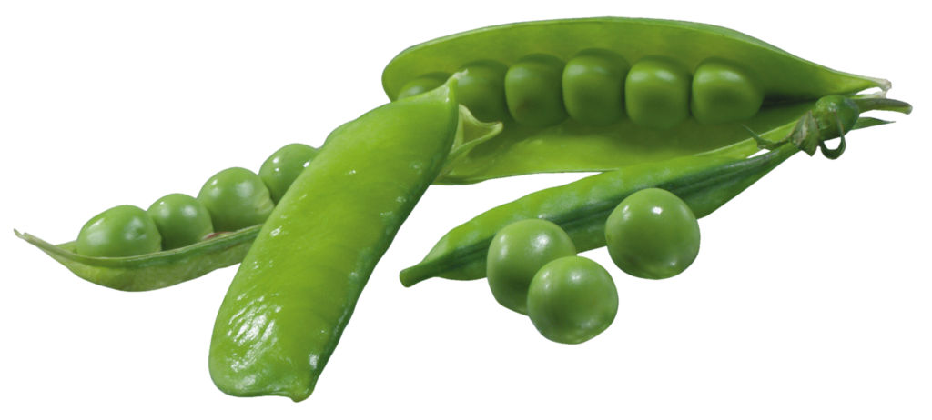 Green Pea Png