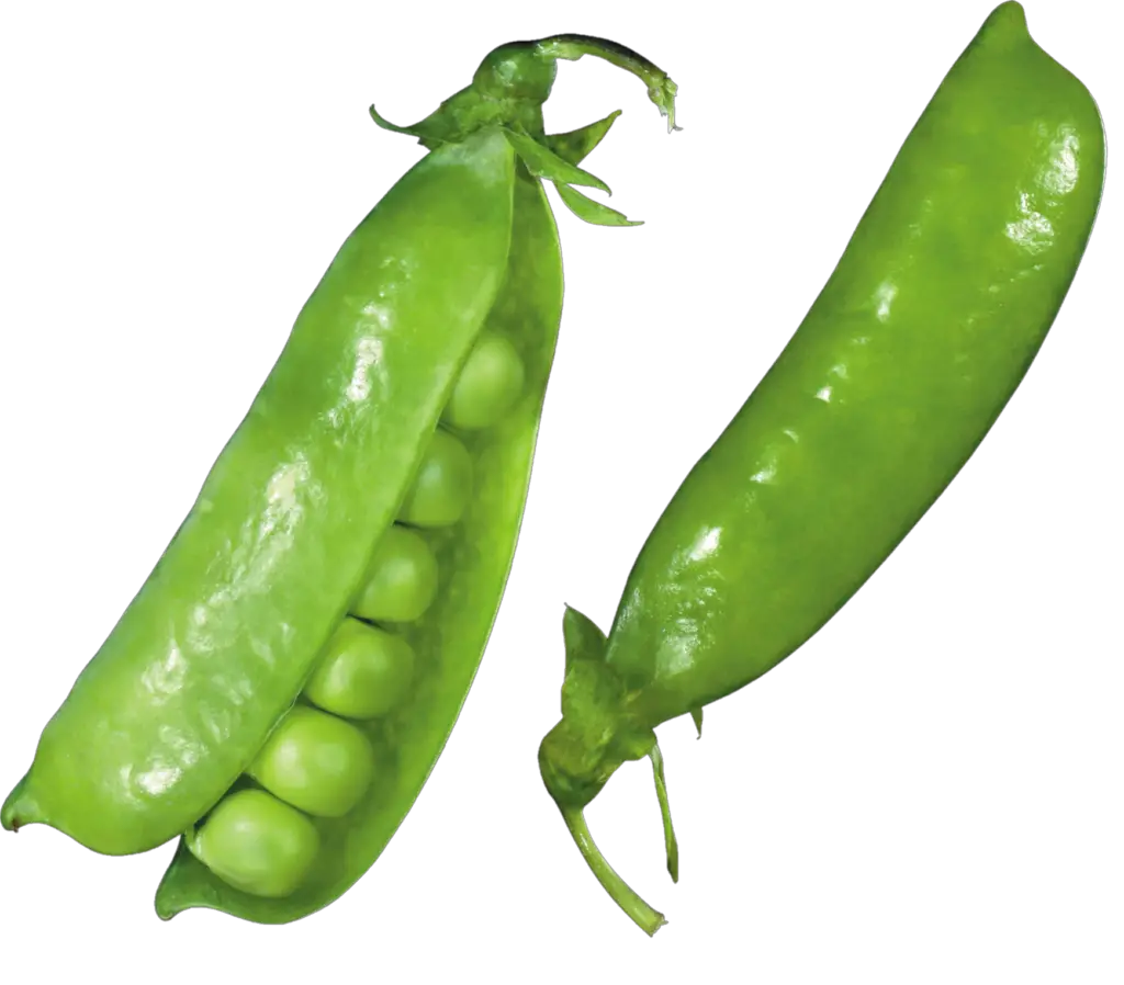 Green Pea Png