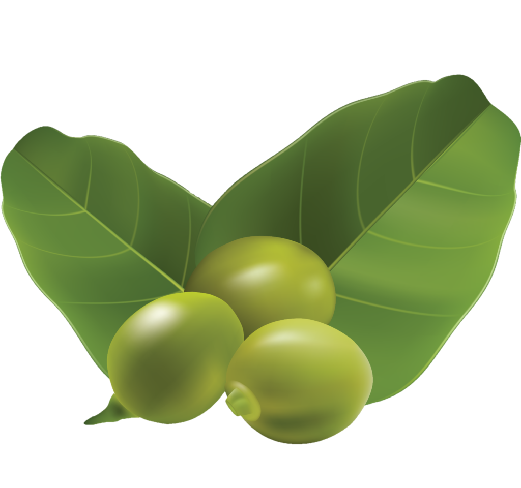 Animated Pea Png