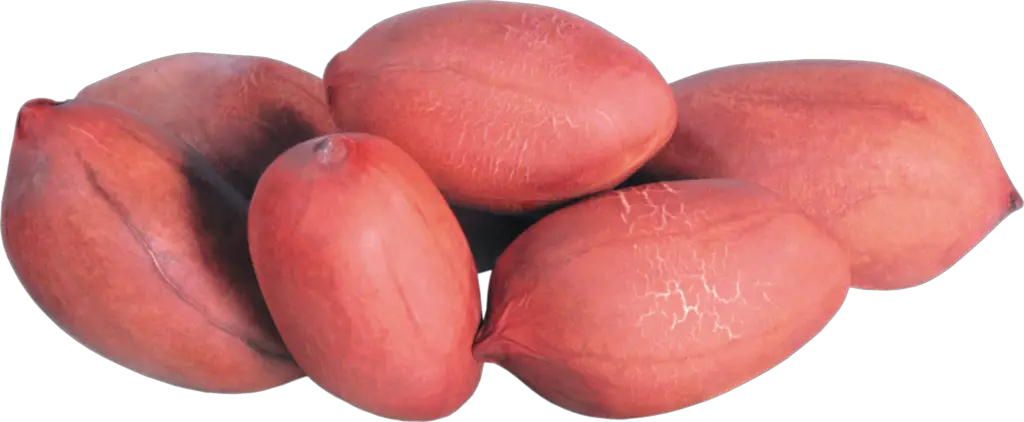 Groundnuts Peanut Png