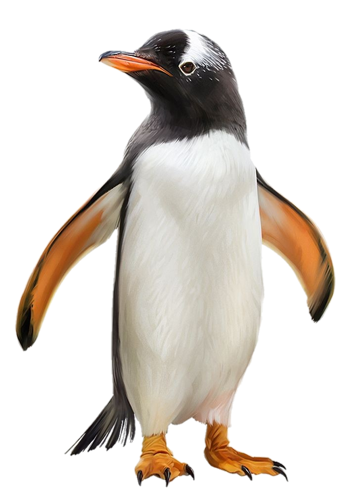 Penguin Drawing Png