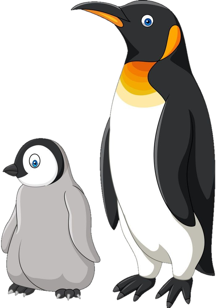 Penguin with Baby Clipart Png