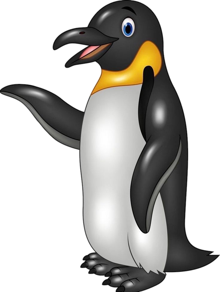 Penguin Illustration Png
