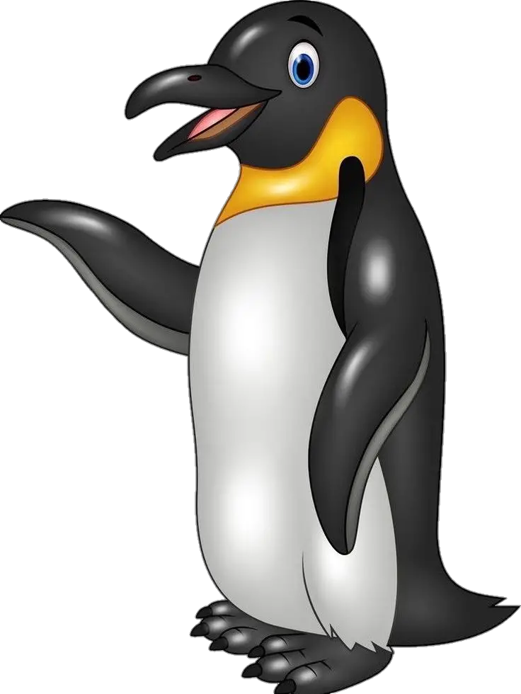 Penguin Illustration Png