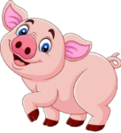 Pig Png Image