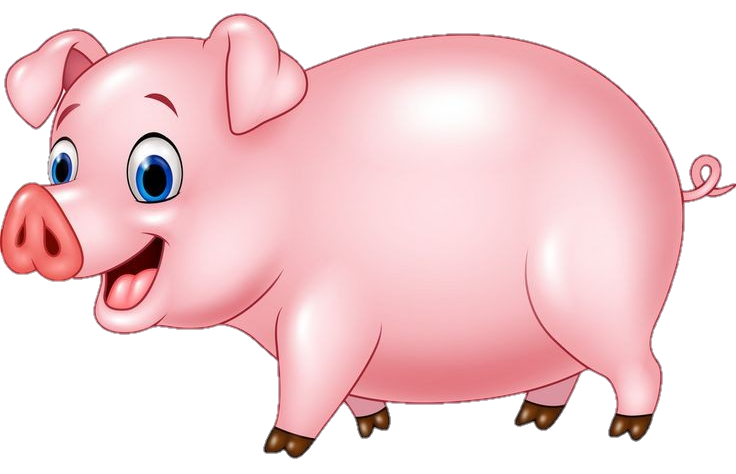 Pig-6-1