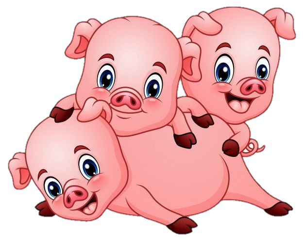 Baby Pig PNG