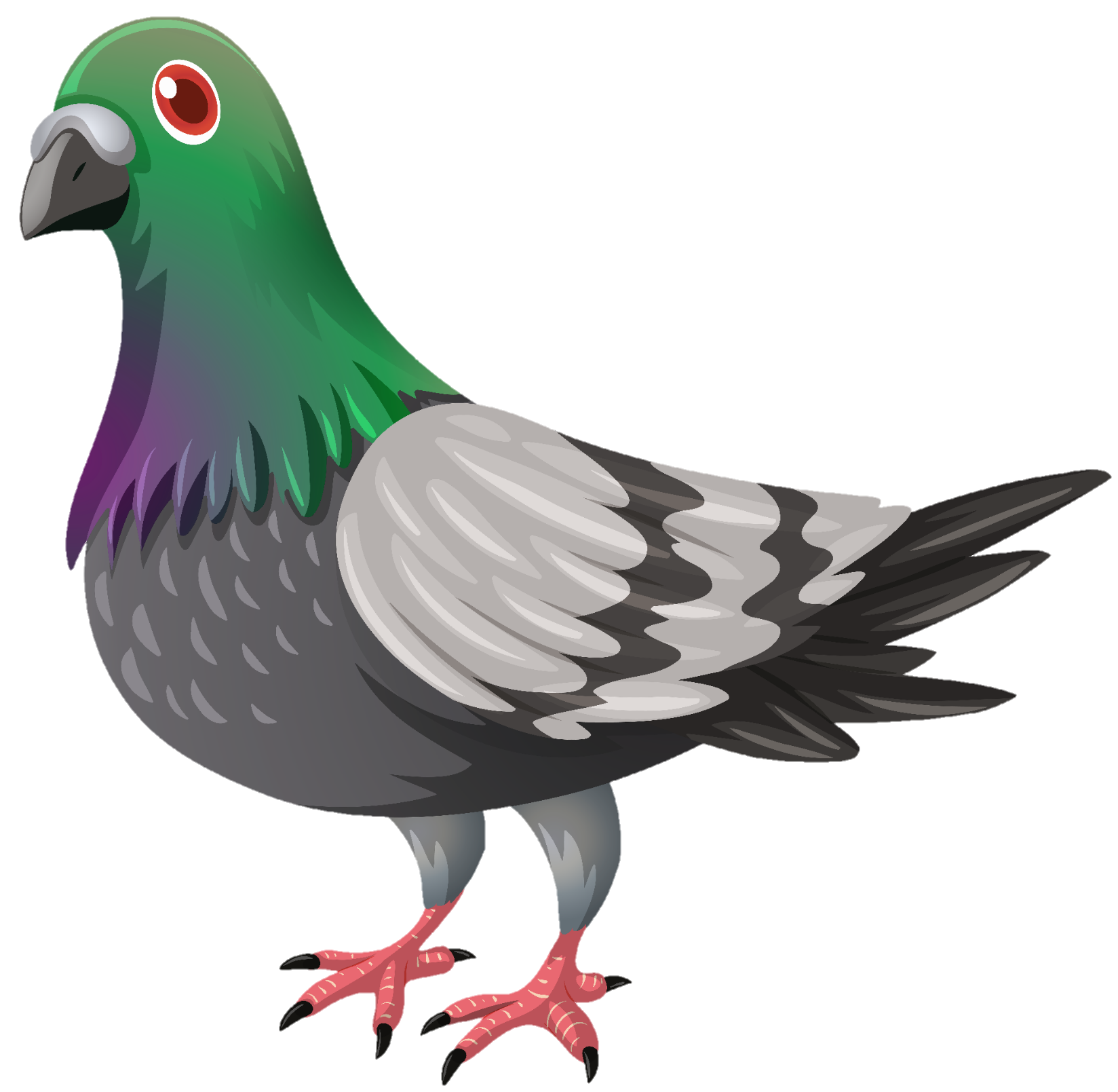 Pigeon-8
