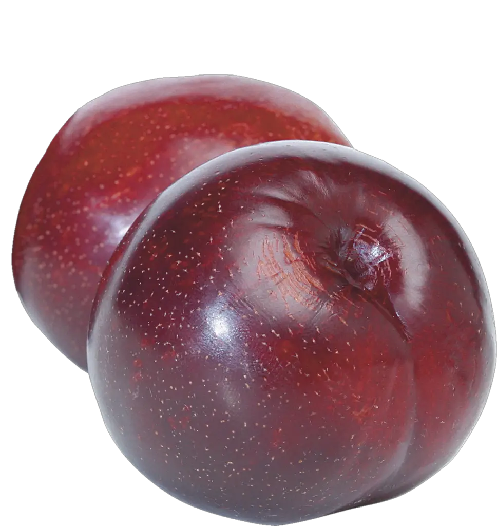 Plum Png