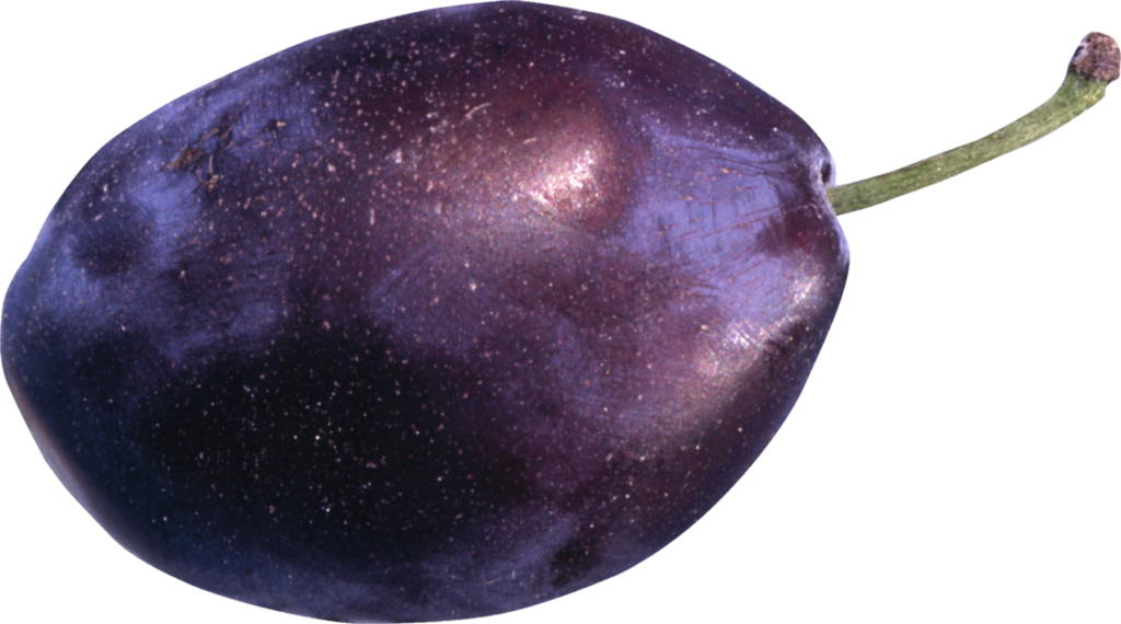 Blue Plum Png