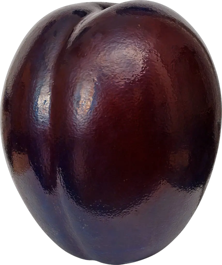 Hd Plum Png